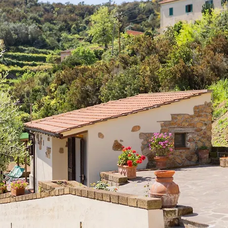 Bellavista By Elbasummer Tour Operator *