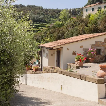 Bellavista By Elbasummer Tour Operator *